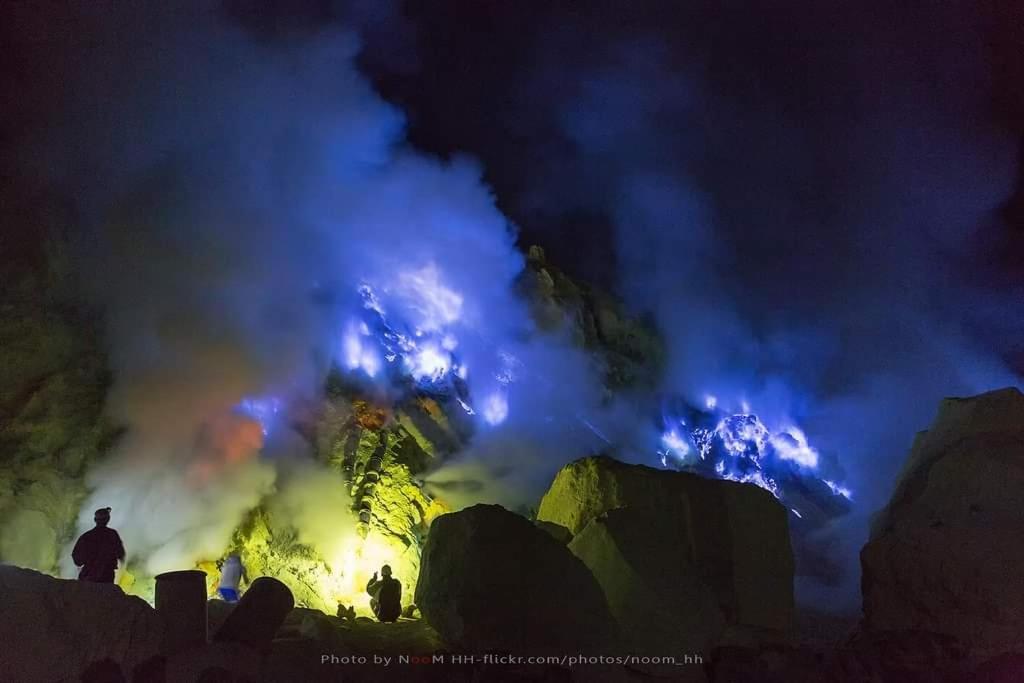 Dannu'S Homestay Ijen And Bromo Tour Banyuwangi  Εξωτερικό φωτογραφία