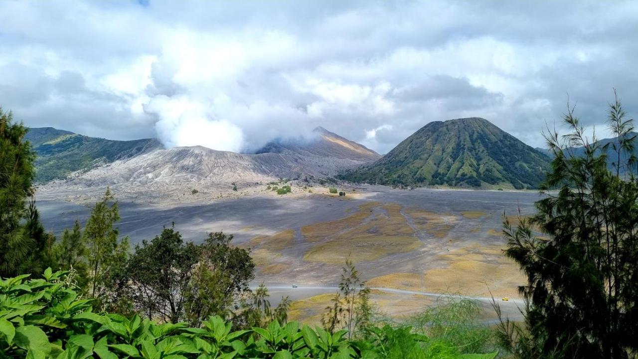 Dannu'S Homestay Ijen And Bromo Tour Banyuwangi  Εξωτερικό φωτογραφία