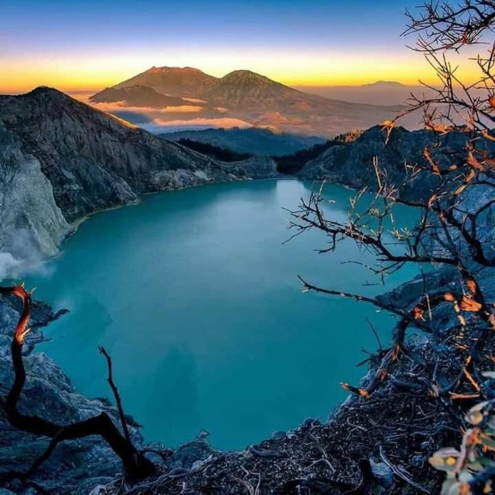 Dannu'S Homestay Ijen And Bromo Tour Banyuwangi  Εξωτερικό φωτογραφία